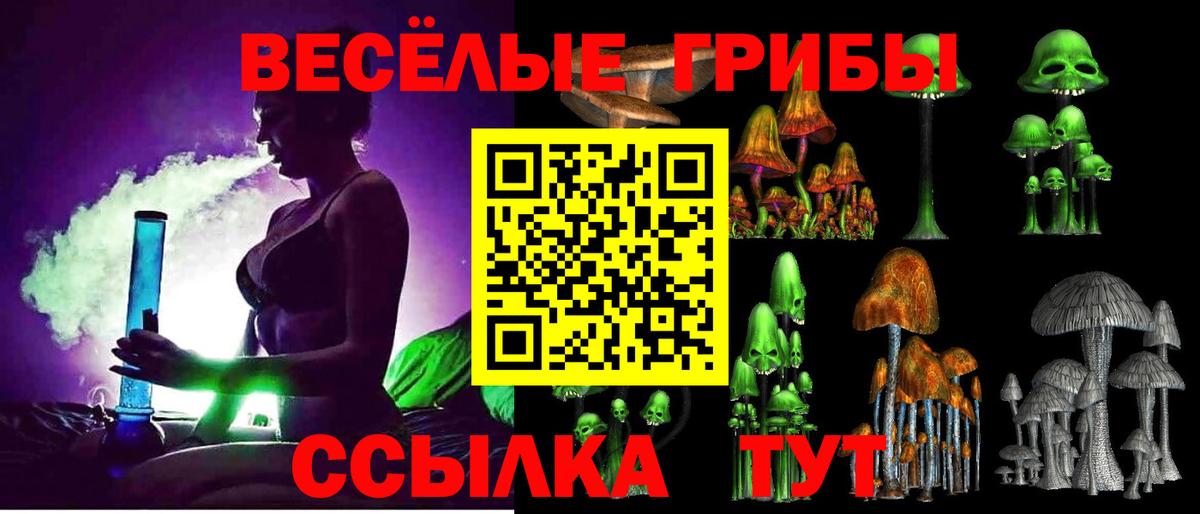магазин продажи   Псилоцибиновые грибы мухоморы  Вход с VPN  Верхняя Салда 