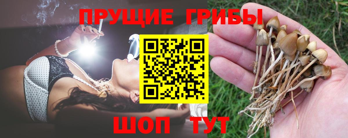 Галлюциногенные грибы Magic Shrooms Верхняя Салда
